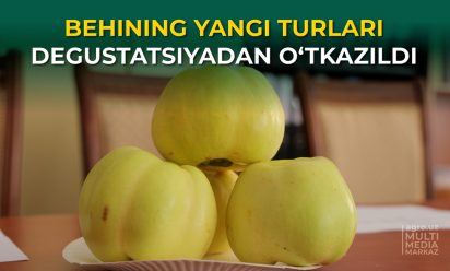 BEHI MONTAJ.00_13_44_28.Still001