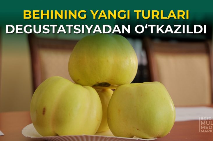 BEHI MONTAJ.00_13_44_28.Still001