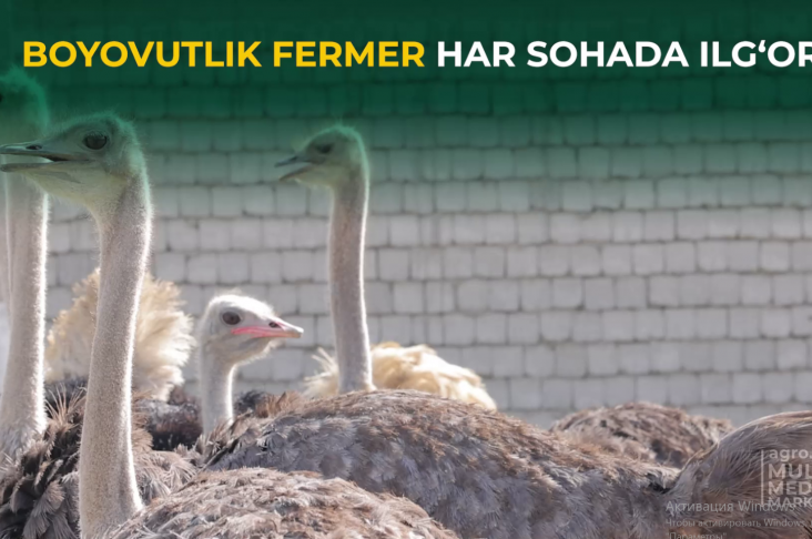 image_2023-09-25_17-47-37