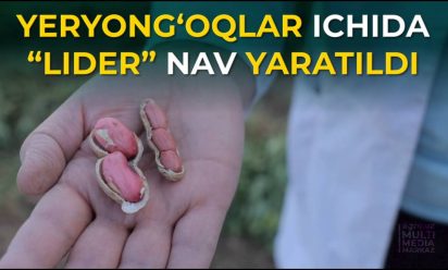 photo_2023-10-17_13-35-53