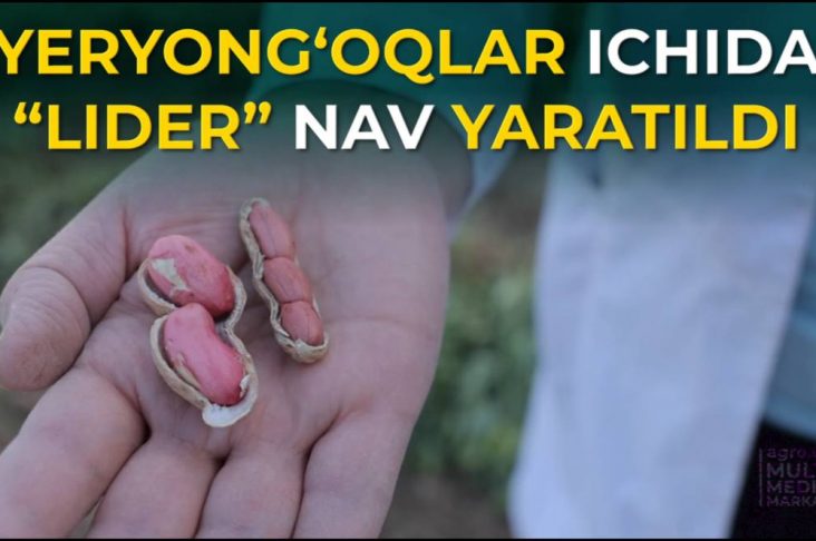 photo_2023-10-17_13-35-53