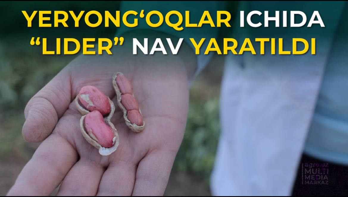 photo_2023-10-17_13-35-53