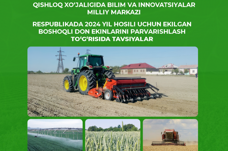 image_2024-01-12_20-11-09