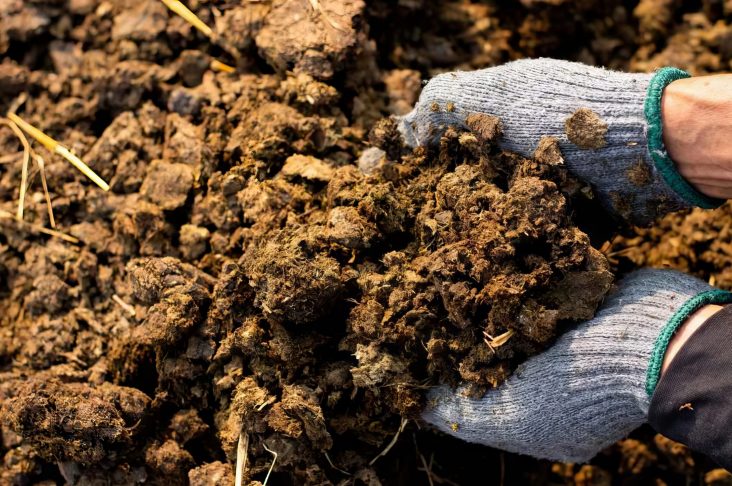 2de38d81d51d9010f7ad8