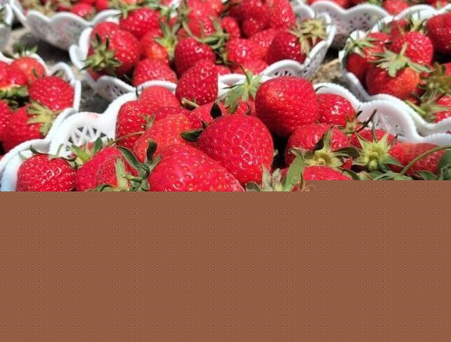 a698b358e2bb775d19445