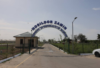 49db96688de4dae6b185a