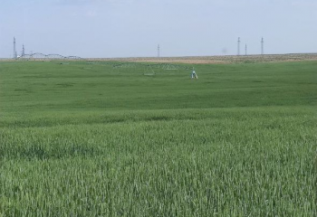 a7b8b6bd26685b69f106d